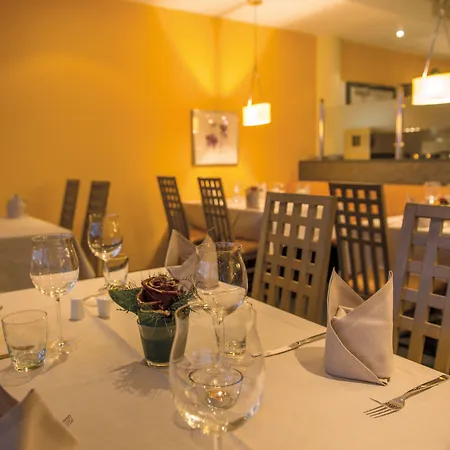 Concorde Hotel Donaueschingen